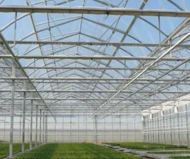 Het product Roltafels en container tafels van Foliekassen