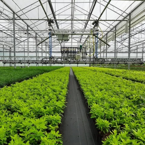 AS VDH Spuit Gietboom